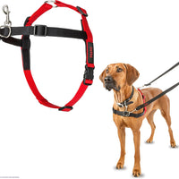 Company of Animals® Halti® Harness Black/Red Large