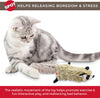 Spot® Flippin' Skinneeez™ Raccoon Cat Toy