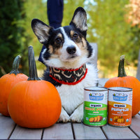 Nummy Tum Tum Organic Pumpkin