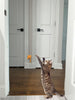 Spot® A-Door-Able Bouncing Mouse Cat Toy