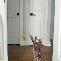 Spot® A-Door-Able Bouncing Mouse Cat Toy