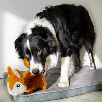 KONG Scruffs Squirrel Medium / Large