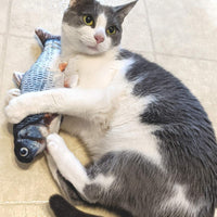 Spot® Flippin' Fish™ Cat Toy