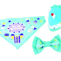 Li'l Pals® Birthday Combo, Teal- Bandana, Bow, & Toy Dog