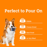 Charmy Mushroom Bone Broth - Lion's Mane & Blueberry 70g (Suitable for Dogs & Cats)