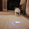 Turbo LED Pointer Wand Cat Toy, Fish Light Cat