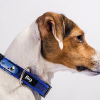 TICKLESS® and JULIUS-K9® Anti-Tick Outdoor Collar Blue (NEW)