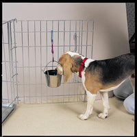 Stainless Steel Flat Sided Pails Durable for Fences, Cages, Crates, or Kennels 2-Quart