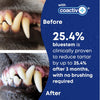 bluestem™ oral care water additive with coactiv+™ Original Unflavored for Dogs & Cats 500 ml