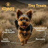 Nzymes® Antioxidant Tiny Treats 90 ct