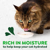 Greenies Feline Smart Purees Indoor Chicken 4 / 14g