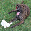 Spot Fleece Rabbit 9" Dog Toy