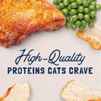 NATURAL BALANCE Original Ultra Grain Free Chicken 5.5 oz