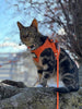 Travel Cat "The True Adventurer" Reflective Cat & Kitten Harness and Leash