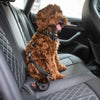 GF Pet Small Seat Belt