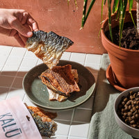 KALU Dehydrated Salmon Skins 200 g (NEW)