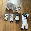 Spot® Baa Baa Black Sheep Plush Dog Toy 11" SALE