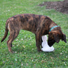 Spot Fleece Rabbit 9" Dog Toy