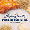 Natural Balance Indoor Chicken Cat 5.5 oz