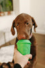 Soda Pup edispenser - Coffee Cup - Green