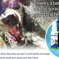 Bluestem Oral Care Spray