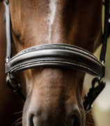 Waldhausen Glamour Leather Halter SALE