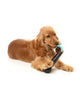 FuzzYard Dog Toy - Interactive Chew Toy Mic-Drop (NEW)