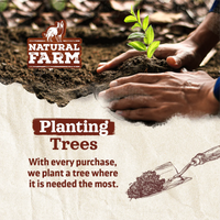 Natural Farm Pet Bully Cheek Sticks - Braided