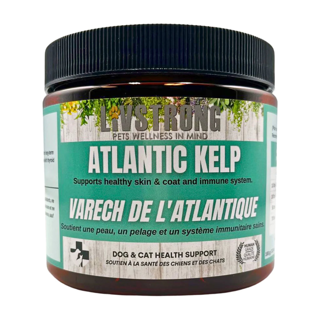 Livstrong Atlantic Kelp Powder