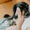 Beco Dog Eye Cleaning Wipes (NEW)