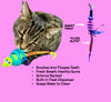 Chewmate Treatbrush for Cats