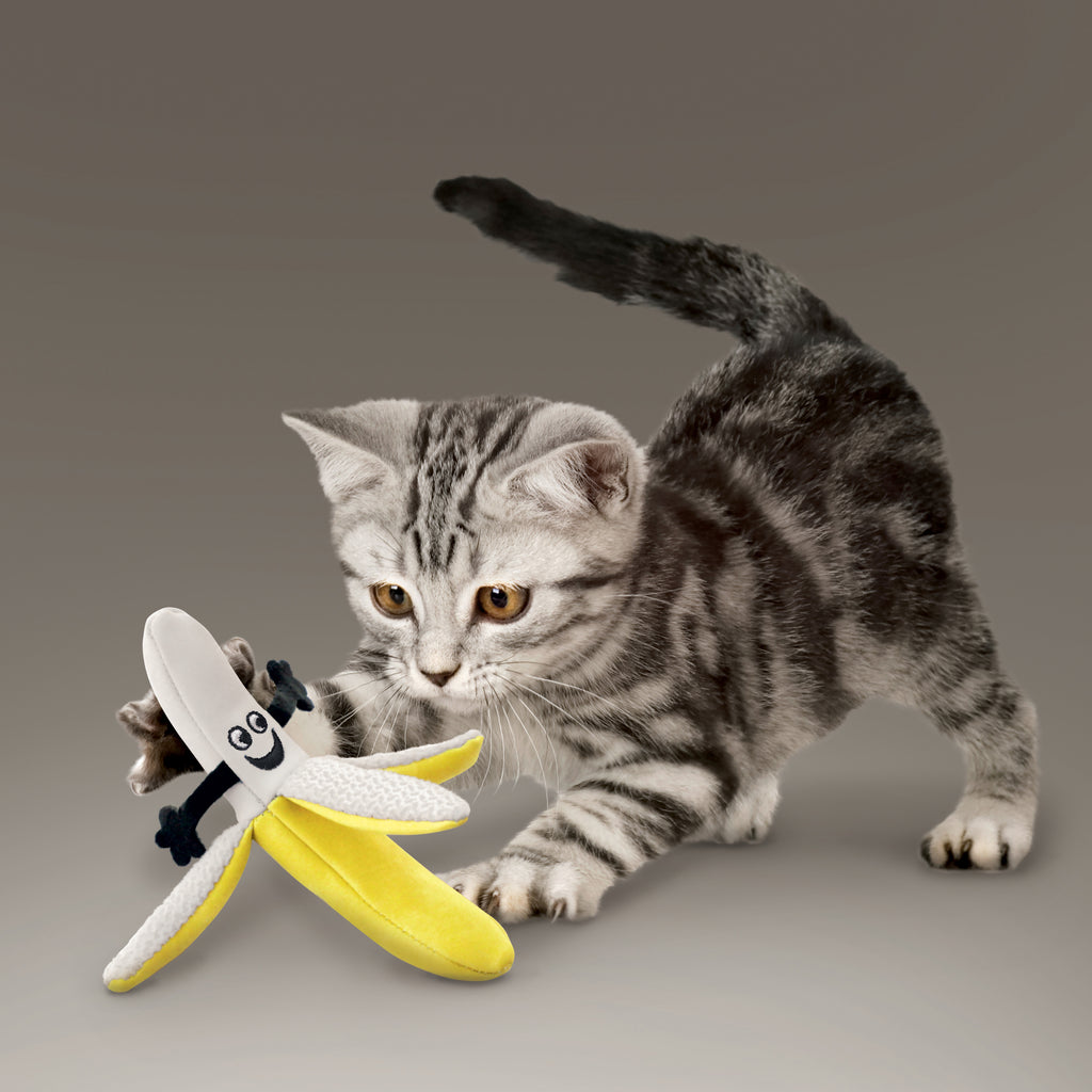 Kong® Better Buzz Banana Cat Toy