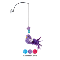 Kong Cat Active Window Teaser