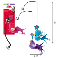 Kong Cat Active Window Teaser