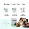 Crumps Fresh Bites Spearmint Dog 207 g