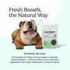 Crumps Fresh Bites Spearmint Dog 207 g