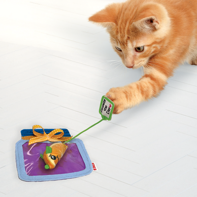 KONG for Cats Pull-A-Partz Jamz Assorted