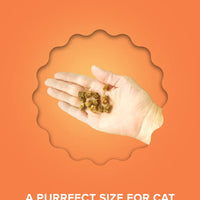 Plato Pet Treats Air-Dried Cat Treats