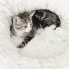 Catit Fluffy Bed - White - 60 cm (20 in) diameter