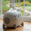 Catit PIXI Mio 2-in-1 Cat Bed & Carrier