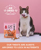 Plato Pet Treats Air-Dried Cat Treats
