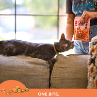 Plato Pet Treats Air-Dried Cat Treats