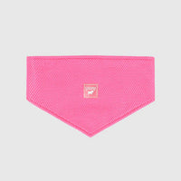 Canada Pooch® Chill Seeker Cooling Bandana Neon Pink