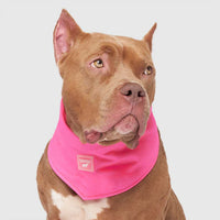 Canada Pooch® Chill Seeker Cooling Bandana Neon Pink