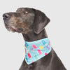 Canada Pooch® Cooling Bandana Popsicles