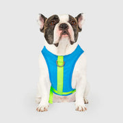 Canada Pooch Cooling Harness