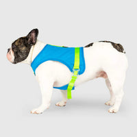 Canada Pooch Cooling Harness