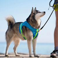 Canada Pooch Cooling Harness