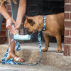 GF Pet Water Bottle Blue Dog