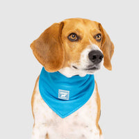 Canada Pooch® Cooling Bandana Blue